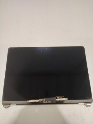 MacBook Pro Screen Faulty Not Working