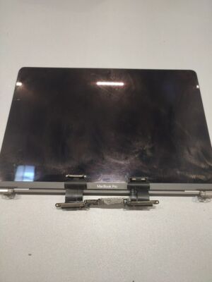 MacBook Pro Screen Faulty Not Working