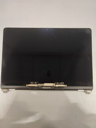 MacBook Pro Screen Silver  Faulty Not Working