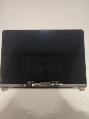 MacBook Pro Screen Grey  Faulty Not Working