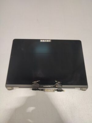 MacBook Pro Screen Faulty Not Working