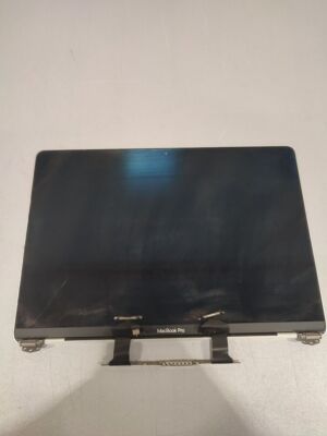 MacBook Pro Screen Faulty Not Working