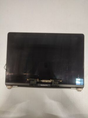 MacBook Pro Screen Grey Faulty Not Working