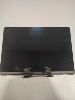 MacBook Pro Screen Faulty Not Working