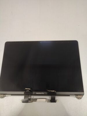 MacBook Pro Screen Faulty Not Working