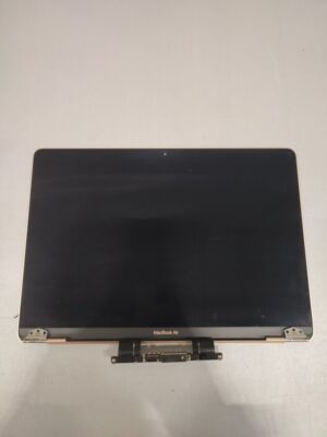 MacBook Air Screen Faulty Not Working